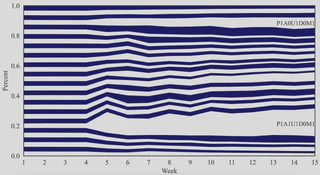Evolution of distribution weights during the experiment